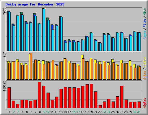 Daily usage for December 2023