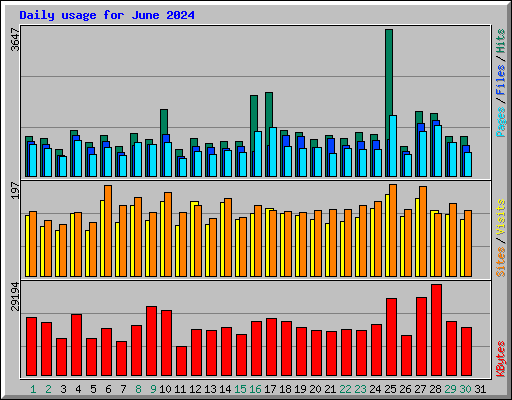 Daily usage for June 2024