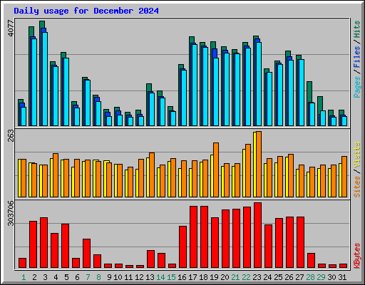 Daily usage for December 2024