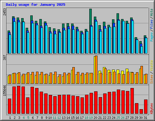 Daily usage for January 2025