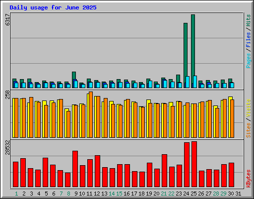 Daily usage for June 2025