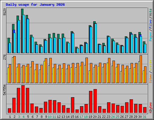 Daily usage for January 2026