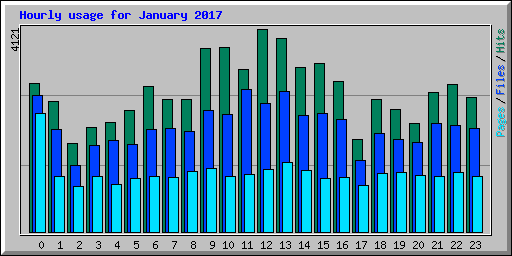 Hourly usage for January 2017