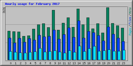Hourly usage for February 2017
