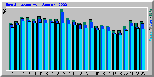 Hourly usage for January 2022