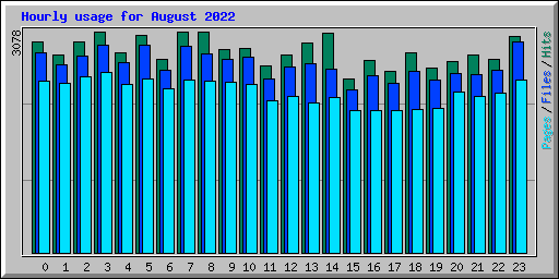 Hourly usage for August 2022