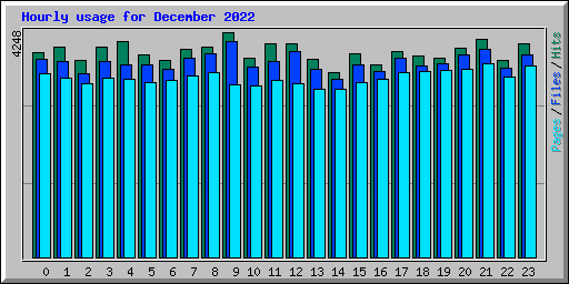 Hourly usage for December 2022