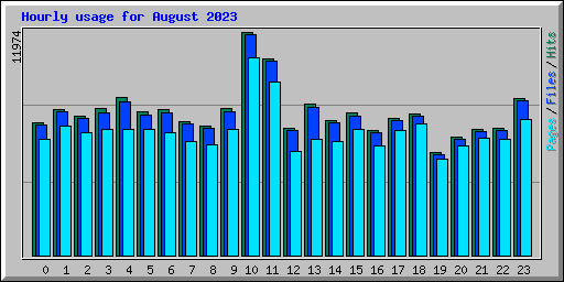 Hourly usage for August 2023