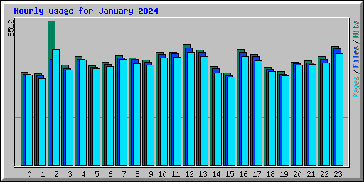 Hourly usage for January 2024