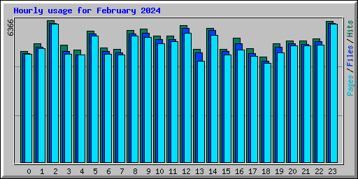 Hourly usage for February 2024