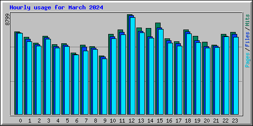 Hourly usage for March 2024