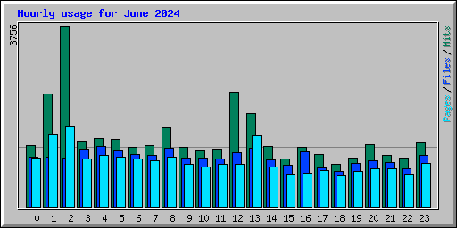 Hourly usage for June 2024