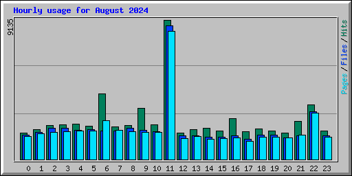 Hourly usage for August 2024