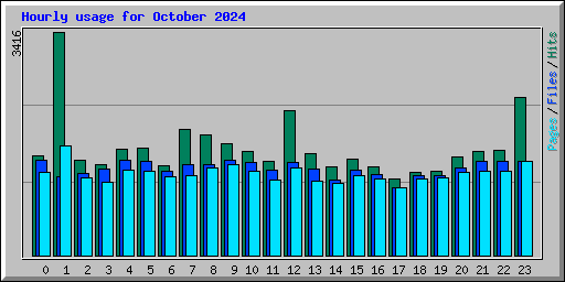 Hourly usage for October 2024