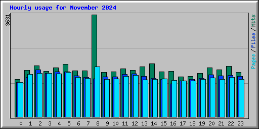Hourly usage for November 2024