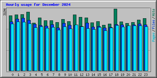 Hourly usage for December 2024