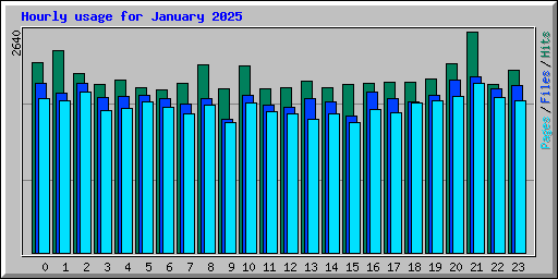 Hourly usage for January 2025