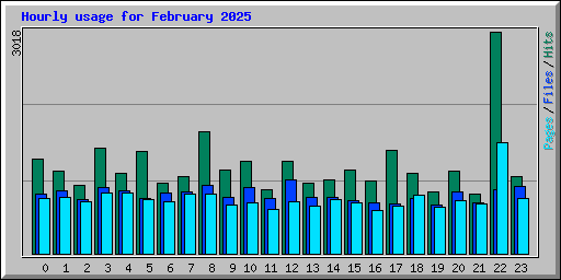 Hourly usage for February 2025