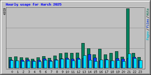 Hourly usage for March 2025