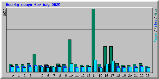 Hourly usage for May 2025