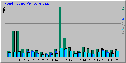 Hourly usage for June 2025