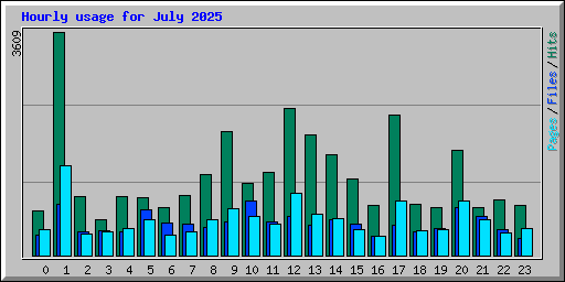 Hourly usage for July 2025