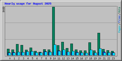 Hourly usage for August 2025