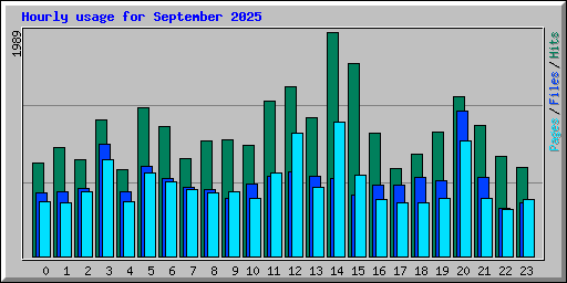 Hourly usage for September 2025