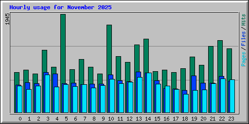 Hourly usage for November 2025