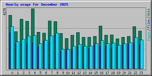 Hourly usage for December 2025