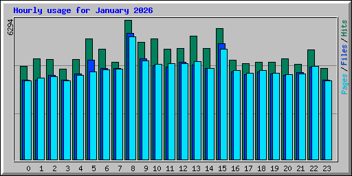 Hourly usage for January 2026