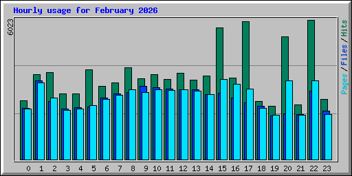 Hourly usage for February 2026